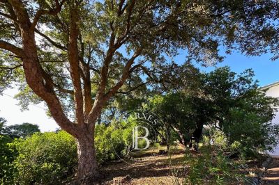 VILLA À VENDRE CAP FERRET