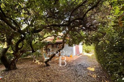 VILLA ARCACHONNAISE DE CHARME AU CAP FERRET